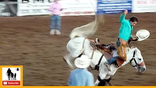 Saddle Bronc Riding - 2023 Wellington Pro Rodeo | Friday