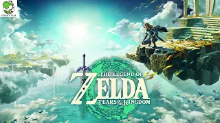 Seized Construct Battle - The Legend of Zelda: Tears of the Kingdom OST