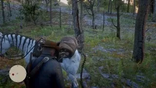 Red Dead Redemption 2 Another Prospector Making Gold