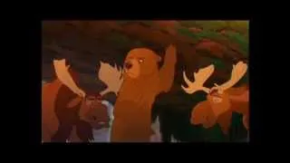 Brother Bear, he's not a bear he's a beaver