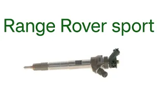 Замена форсунки. LAND ROVER Range Rover Sport (GCAT)Дизель 3,0 л 24V DOHC V6 TC