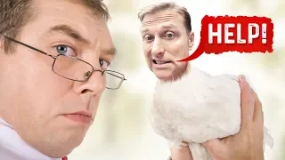 Do Not Eat Chicken Again, Until You Watch This...