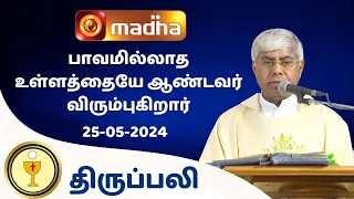 🔴25 May  2024 Holy Mass in Tamil 06:00 PM (Evening Mass) | Madha TV