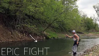 IOWA DRIFTLESS REGION: THESE DRIFTLESS TROUT WERE FIRED UP!! (Fly Fishing Paint Creek, Marquette IA)