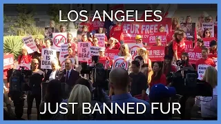 Los Angeles Just Banned Fur