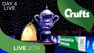 Day 4 LIVE | Crufts 2019