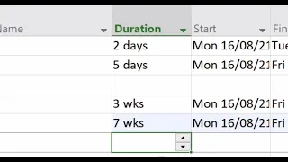 Changing the Default Duration in MS Project