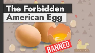 Why US Produced Eggs Are Banned Across Europe (& vice versa)