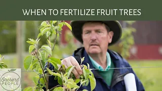 When to FERTILIZE APPLE TREES 🍎 🍐 🍑  and Other Fruit Trees