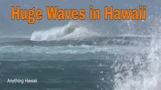 Haleiwa Beach Huge Waves Part 2 | 1-16-21