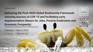 Delivering the Post-2020 Global Biodiversity Framework