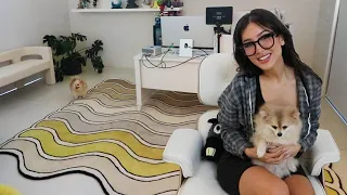 Sssniperwolf Room Tour in my New House