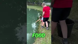 To Catch a FISH use FINGER!