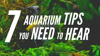 7 Tips Everyone with an Aquarium NEEDS to Hear