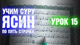 Урок 15 - Учим "ЯСИН" (по пять строчек) / 36-я сура Корана