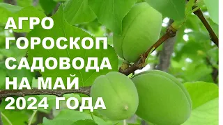 Агрогороскоп садовода на май 2024 года Gardener's agrohoroscope for May 2024