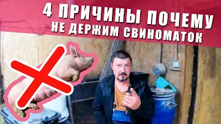 ПОЧЕМУ СВИНЬИ - ЭТО НЕ БИЗНЕС! (в нашем случае) 4 ПРИЧИНЫ ПОЧЕМУ НЕ ДЕРЖИМ СВИНОМАТОК. ХРЯК ЭДГАР