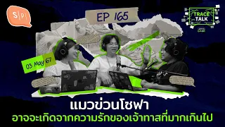 แมวข่วนโซฟา อาจจะเกิดจากความรักของเจ้าทาสที่มากเกินไป | Trace Talk EP165