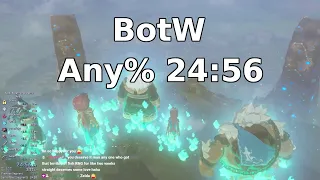 BotW Any% 24:56 [Former WR]