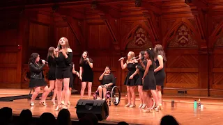 If I Can't Have You (opb. Shawn Mendes) - The Harvard Fallen Angels A Cappella Cover