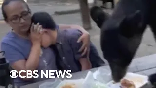 Mother shields son as bear interrupts family picnic in Mexico