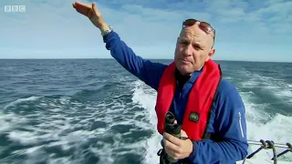 Superpod of Dolphins off the coast of Pembrokeshire (The One Show, BBC One, 20/11/2016)