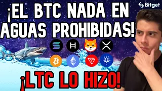 🔴 BITCOIN NO HAY RUMBO HASTA LA NOCHE ! SOLANA DESPERTO ! BNB SE CAYO , CARDANO (ADA) LO INTENTO Y