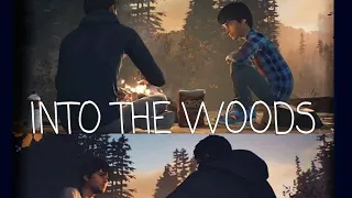 INTO THE WOODS - Life is Strange 2 Redemption Ending AMV