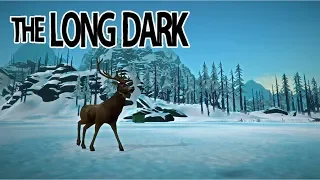 Выживание The Long Dark Сезон 2 #19 Много вкусной оленины