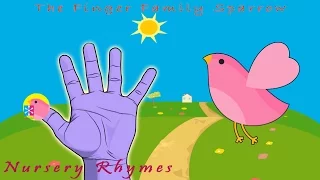 The Finger Family Sparrow || Finger Family Nursery Rhymes & Songs For Kids