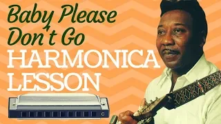 Baby Please Don't Go (Muddy Waters) C harmonica lesson