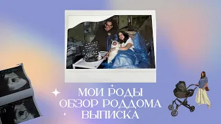 МОИ РОДЫ 🤰🏻 ОБЗОР ВИП ПАЛАТЫ ЗА 350.000 руб 🔥 ВЫПИСКА ИЗ РОДДОМА