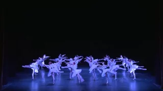 Shades from "La Bayadere' - Semyon Chudin and Anna Nikulina