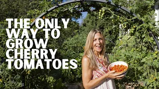 How to Grow Tomatoes Up an Arch Trellis with Nicole Burke of Gardenary