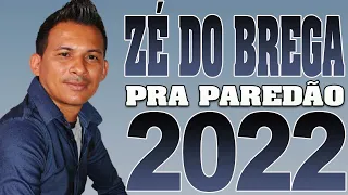 ZÉ DO BREGA PRA PAREDÃO   O FENOMENO DO BREGA ZÉ DO BREGA