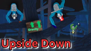 I flipped Gravity in Big Scary...