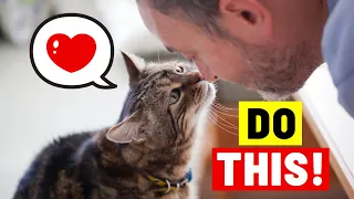 8 Ways to Tell Your Cat YOU LOVE THEM (in a Language THEY UNDERSTAND)