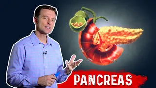 The Function Of Pancreas & Pancreatitis – Dr. Berg﻿ on Pancreatic Insufficiency