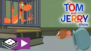 The Tom and Jerry Show  | Invisibility Cream | Boomerang UK