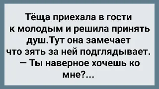 Зять Подглядывает за Тещей! Сборник Свежих Анекдотов! Юмор!