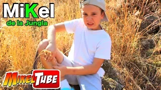 Mikel de la jungla 🐍🐵Aventuras con Animales 🐟