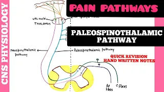 PAIN PATHWAYS - 1 | Paleospinothalamic Pathway | CNS | Physiology