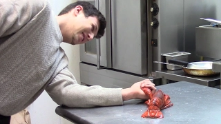 Cooking With Ramsay: Lobster Arm Wrestling