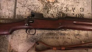 1917 Enfield for SHTF