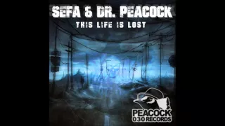 Dr. Peacock & Sefa ft. MC Lenny - Trip To Turkey