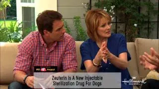 Home & Family - Important Information on Spaying & Neutering our Pets