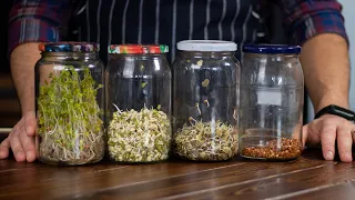 How To Grow Sprouts In Seven Days - Multiple Seeds At Once 🌱