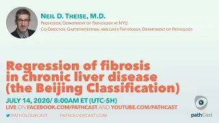 Regression of fibrosis in chronic liver disease - Dr. Theise (NYU) #LIVERPATH