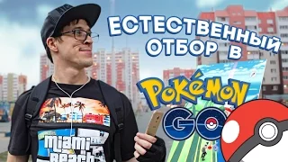 Естественный отбор в POKEMON GO by Oreshek