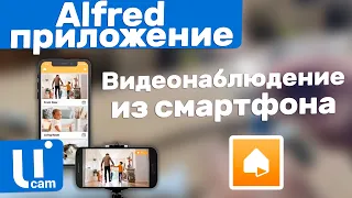 Как Из Телефона Сделать Камеру Видеонаблюдения Или ВИДЕОНЯНЮ. Приложение Alfred